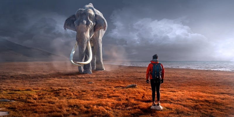 Mythical Landscapes